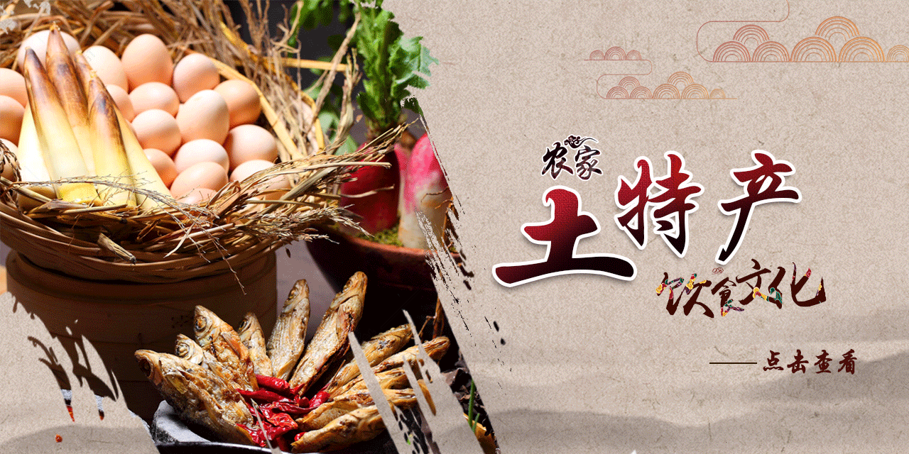 田園臻味 淘寶中國風農家土特產全屏海報設計方案